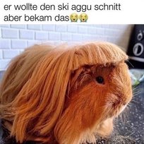Hubba Bubba Ski Aggu