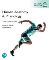 Human Anatomy & Physiology, Global Edition Elaine Marieb