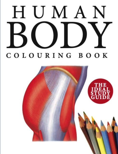 Human Body Colouring Book Human Anatomy In Illustrations Abrahams Peter Ksi Ka W Empik