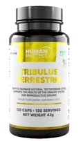 Human Protect Tribulus Terrestris 98% - 120vcaps.