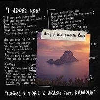 I Adore You Arash, HUGEL, Daecolm, Topic