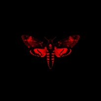 I Am Not A Human Being II Lil Wayne
