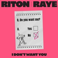 I Don't Want You Riton, Raye