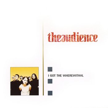 I Got The Wherewithal - theaudience