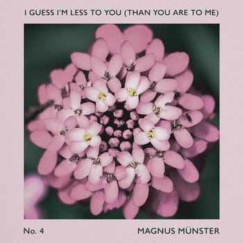I Guess I'm Less To You (Than You Are To Me) - Magnus Münster
