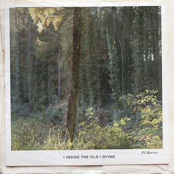 I Inside the Old I Dying - PJ Harvey