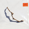 I Inside the Old Year Dying - Pj Harvey