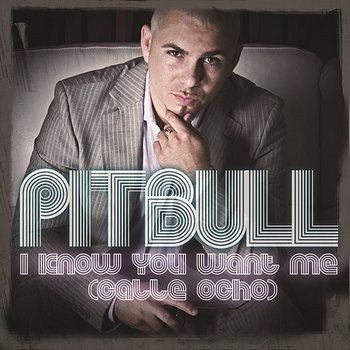 I Know You Want Me (Calle Ocho) - Pitbull