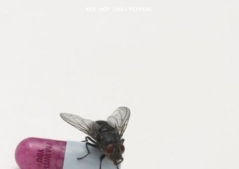Już niedługo nowe Red Hot Chili Peppers!