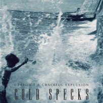 I Predict A Graceful Expulsion Cold Specks
