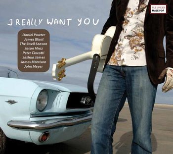 I Really Want You - Various Artists