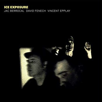 Ice Exposure - Various Artists