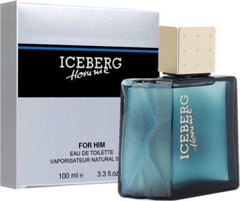 Iceberg Homme, Woda toaletowa, 100ml - Iceberg