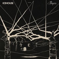 ICEHOUSE Plays Flowers Live Icehouse