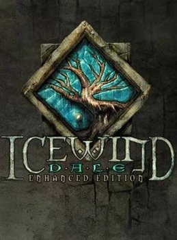 Icewind Dale: Enhanced Edition, klucz Steam, PC