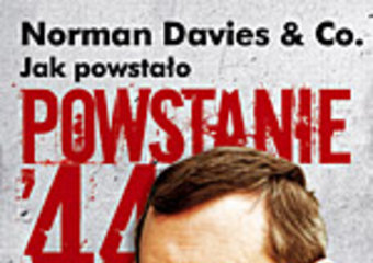 Davies jeszcze o Powstaniu