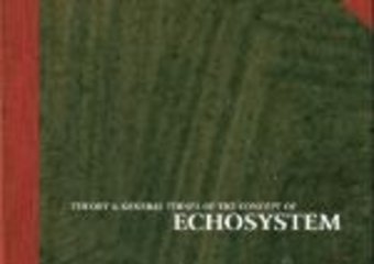 Premiera nowego Heya