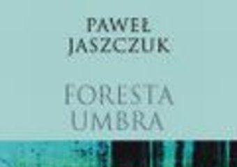 Najlepszy polski kryminał