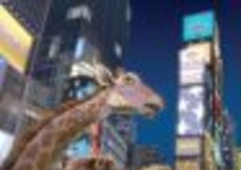 Monty Python w Dżungli