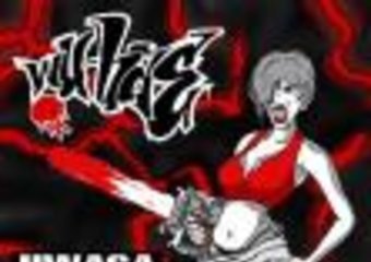 Wu-Hae, płyta i koncerty