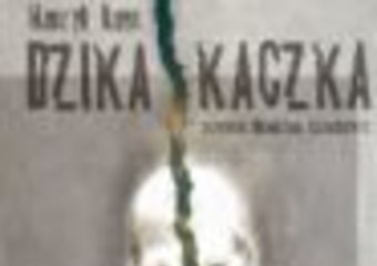Dzika kaczka według Łazarkiewicz