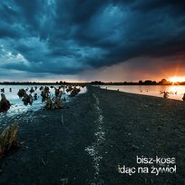 Idąc na żywioł Bisz, Kosa