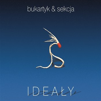 Ideały - Piotr Bukartyk, Sekcja