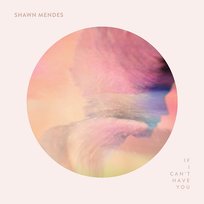 If I Can't Have You Shawn Mendes