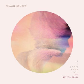 If I Can't Have You - Shawn Mendes, Gryffin