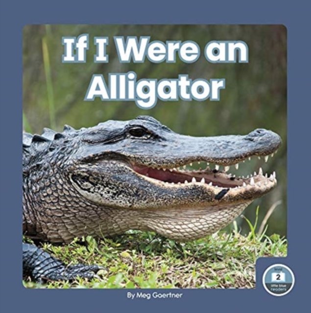 If I Were An Alligator - Meg Gaertner | Książka W Empik