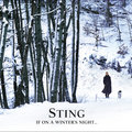If On A Winter's Night PL - Sting