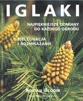 Iglaki Bloom Adrian