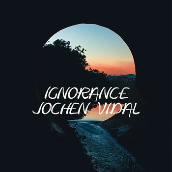 Ignorance - Jochen Vidal