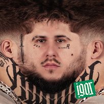 IGOR Reto