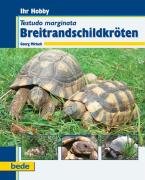 Ihr Hobby. Testudo marginata Breitrandschildkröten - Mirlach Georg