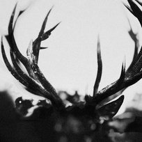 Ihsahn (Orchestral Version) Ihsahn