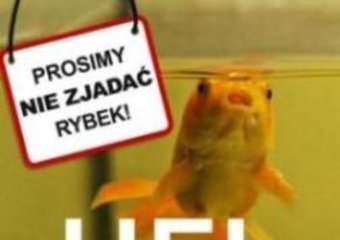 Kinga Dębska o swoim debiutanckim filmie „Hel”