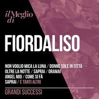 Il Meglio Di Fiordaliso: Grandi Successi Fiordaliso