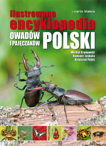 Ilustrowana encyklopedia owadów i pajęczaków - Opracowanie zbiorowe