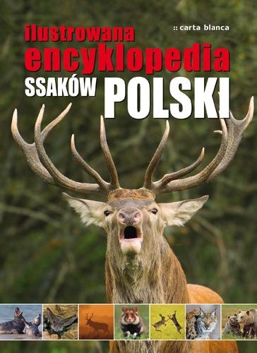 Ilustrowana encyklopedia ssaków Polski - Opracowanie zbiorowe | Książka