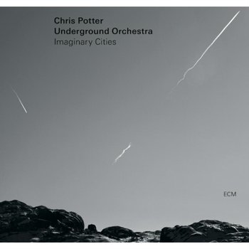 Imaginary Cities, płyta winylowa - Potter Chris