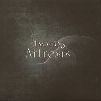 Imago Artrosis