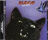 Impeckable Budgie