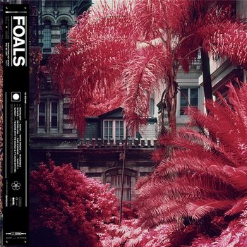 In Degrees - Foals