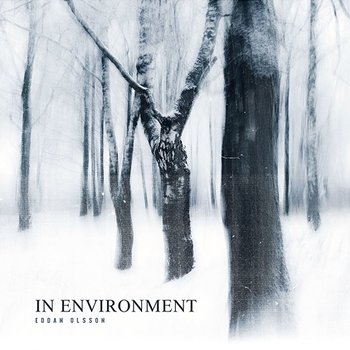 In Environment - Eddan Olsson