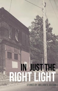 In Just the Right Light - Soldan William R