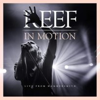 In Motion Live From Hammersmith Reef