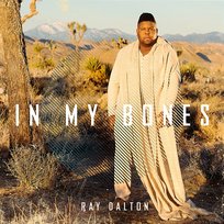 In My Bones Ray Dalton