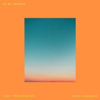 In My Bones Lost Frequencies, David Kushner