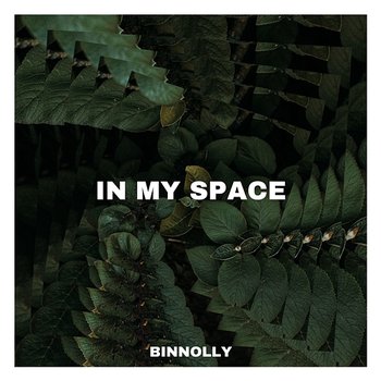 In my space - binnolly